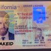 California fake id
