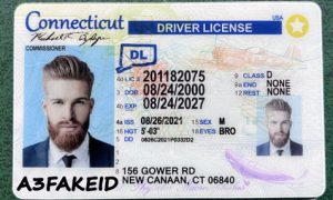 Connecticut fake id