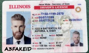 Illinois fake id