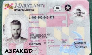 Maryland Fake ID