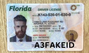 Florida Fake ID