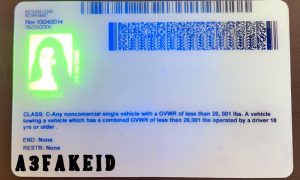 North Carolina fake id